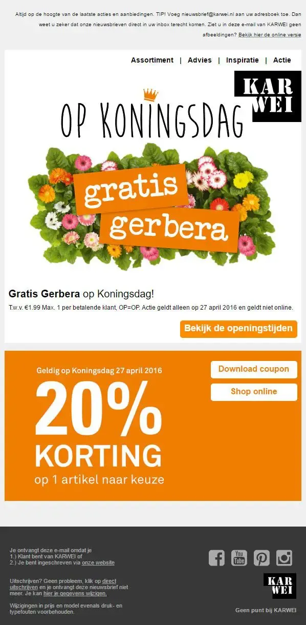 Voorbeeld-Thema-Koningsdag.jpg.webp